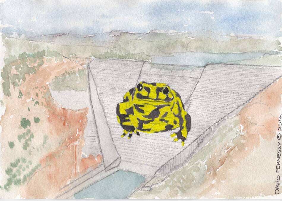 The cotter Dam wall adorned with a giant northern corroboree frog. Sketch courtesy: David Fennessy Photo: David Fennessy