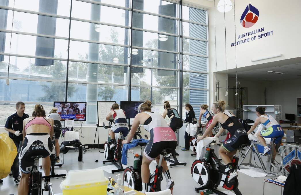 Cyclists at the Australian Institute of Sport physiology lab during tests to measure the effects of calcium loading on performance. Photo: Jeffrey Chan