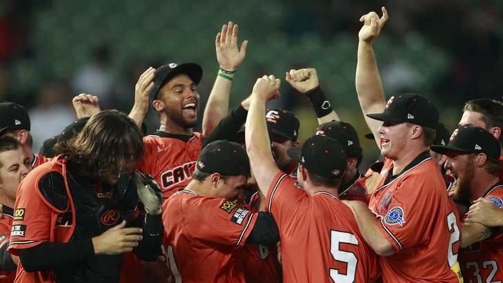 Australia's Canberra Cavalry players celebrate after defeating Taiwan's Uni-President 7-Eleven Lions 14-4 during their Asia Series 2013 baseball game final at Taichung Intercontinental Baseball Stadium, November 20, 2013. Photo: Reuters