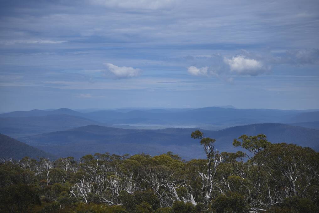 A view of Tantangera, NSW where wild horses have an established population in the thousands. Photo: Finbar O'Mallon