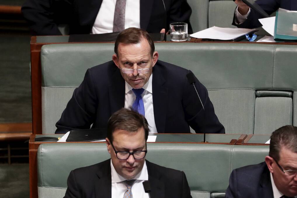 Former prime minister Tony Abbott in Parliament last month. Photo: Alex Ellinghausen