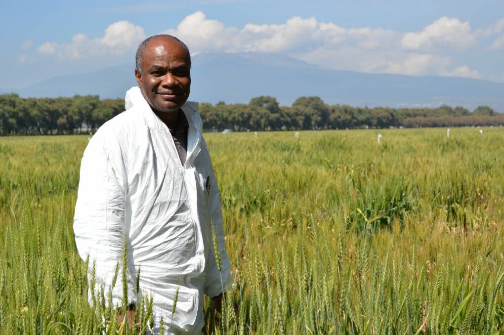 Professor Evans Lagudah's researches disease resistance in plants to help address global food security. Photo: Australian Academy of Science