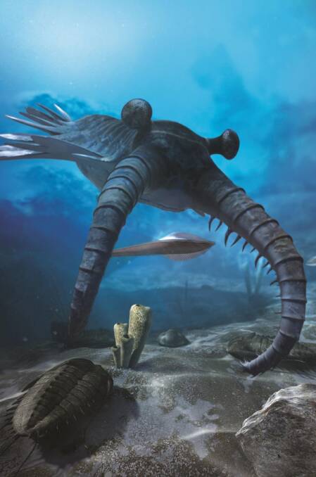 An image of Anomalocais from David Attenborough's First Life VR experience. Photo: Atlantic Productions Ltd