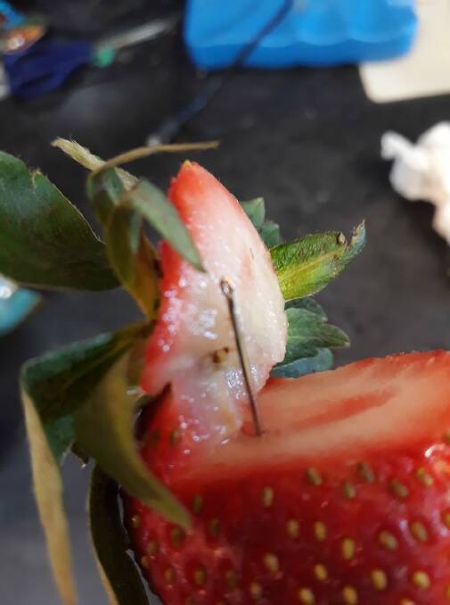 Angela Stevenson posted this photo of the contaminated strawberry she found on Wednesday night. Photo: Facebook/Angela Stevenson