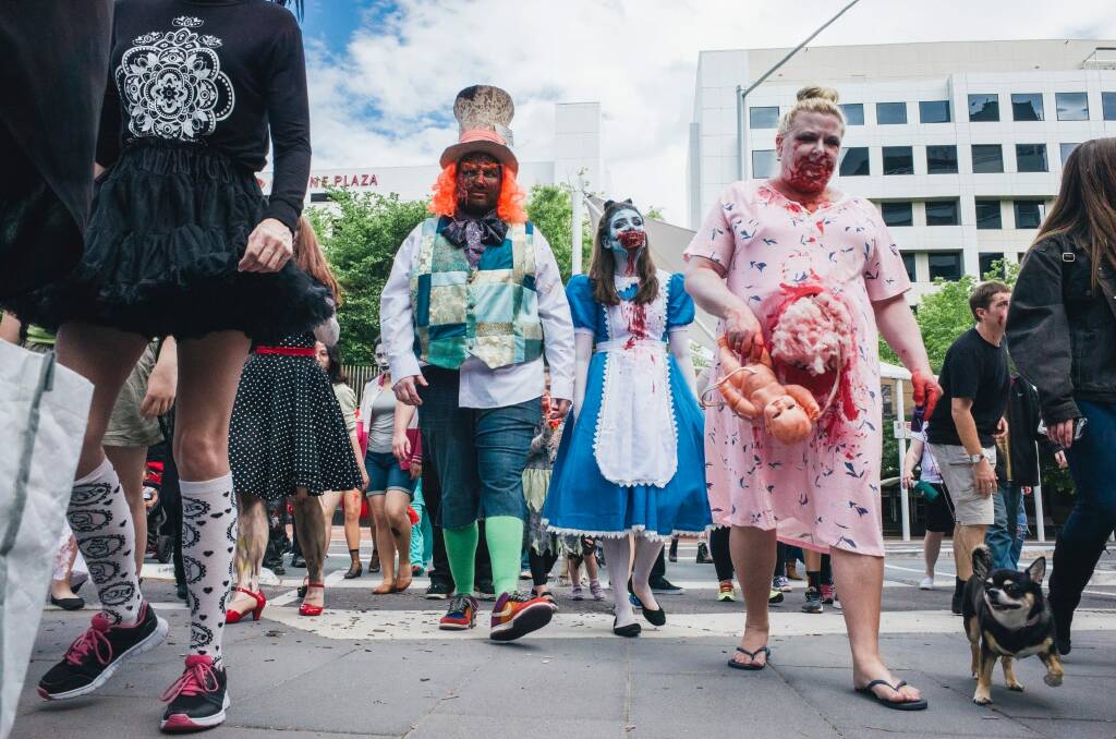 The Zombie Walk in Civic on Saturday. Photo: Rohan Thomson