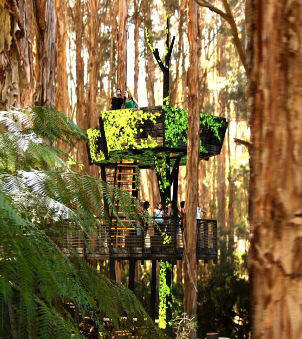 Another view of the planned treehouse at the gardens. Photo: Juan Pablo Pinto