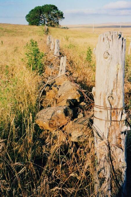 Dry stone wall with posts and wire near Bungarby on the Monaro. Photo: Phyl McKey