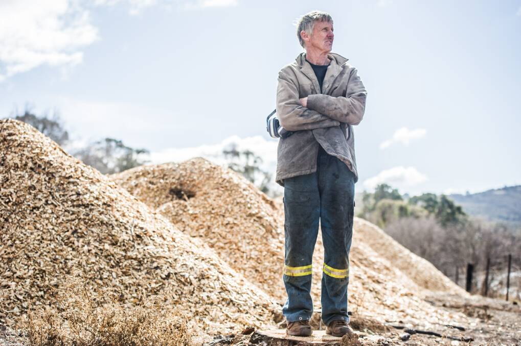 Carwoola landowner, Geoffrey Bartram, paid ten of thousands of dollars to have the 85 pine trees that were burnt on his property in the 2017 bushfires turned into pulp for safety reasons.  Photo: Karleen Minney
