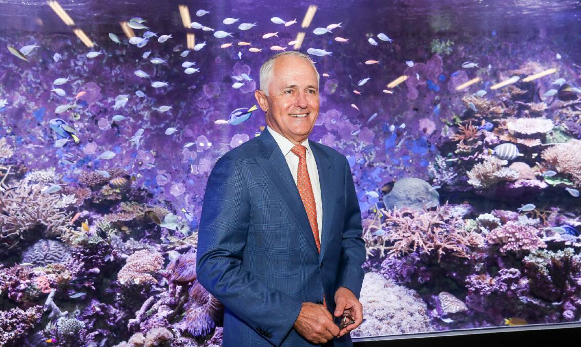 Australian Prime Minister Malcolm Turnbull at the Australian Institute of Marine Science where he announced a $60 million plan to save the Great Barrier Reef earlier this year. Photo: AAP/Michael Chambers