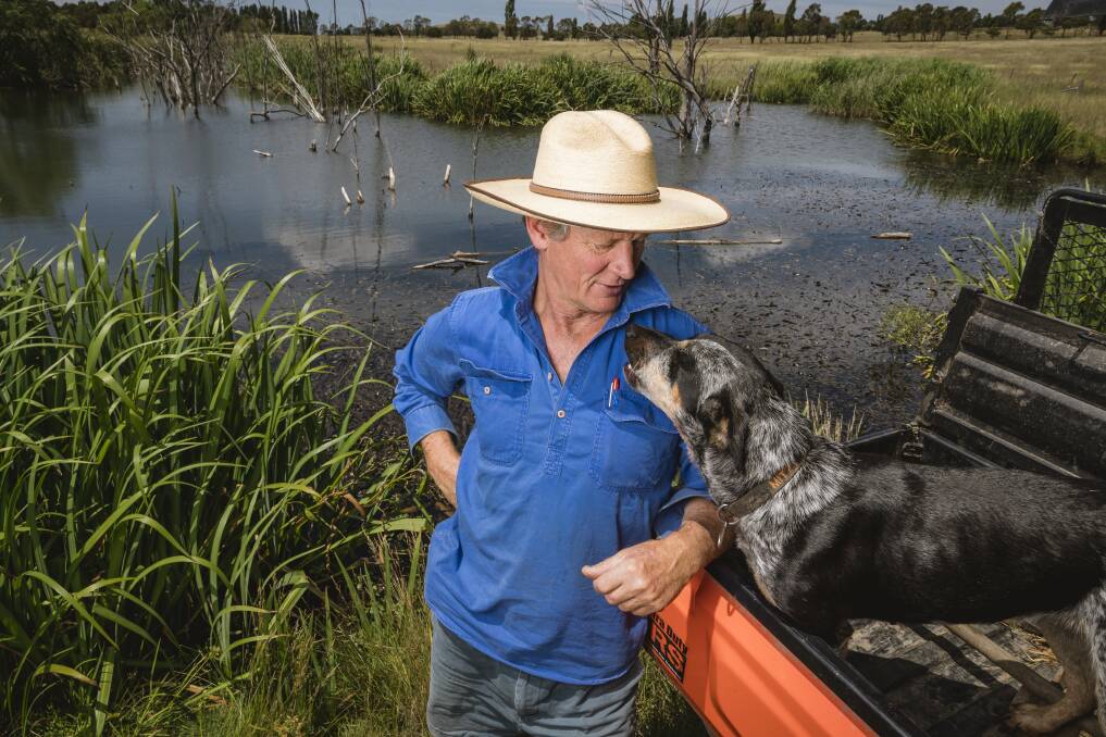 Braidwood farmer Martin Royds, with his dog Mitzy. Mr Royds transformed what was once a dry erosion gully into this functioning waterway. Photo: Sitthixay Ditthavong