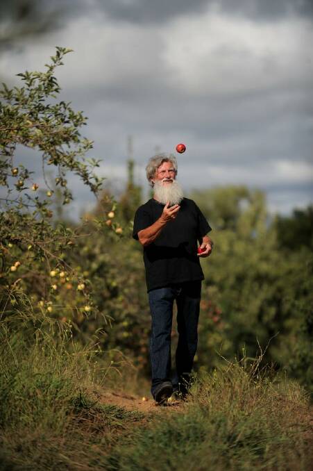 Pialliogo organic apple farmer Jonathan Banks has had a bumper season. Photo: Karleen Williams