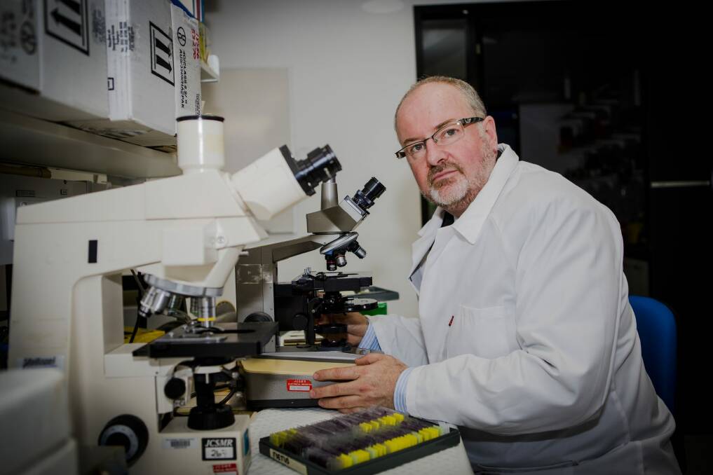 At work: Professor Ross Hannan is the first Centenary Chair of Cancer Research at the John Curtin School of Medical Research.  Photo: Jamila Toderas