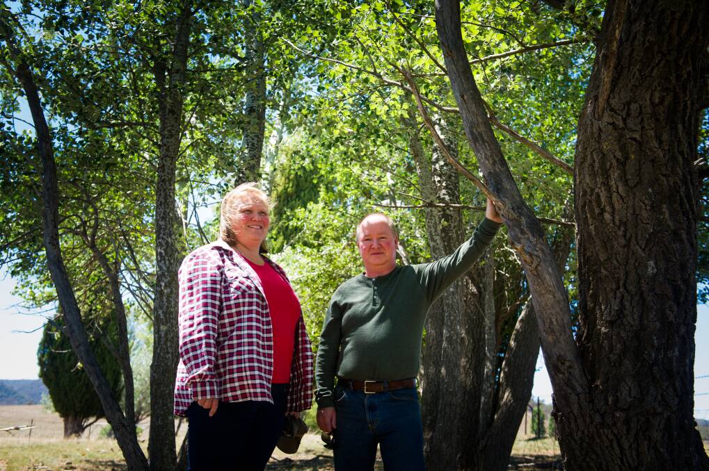 Louise and Luke Williamson say the option of scattering a loved ones at their farm while sponsoring a tree may appeal to people with an evironmental bent. Photo: Elesa Kurtz