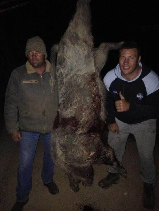 Canberra Raiders player Shannon Boyd with a 132kg feral pig. Photo:  