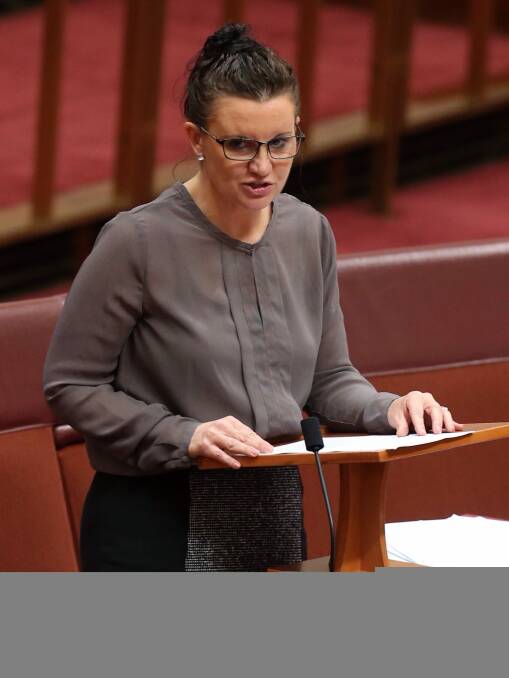 Senator Jacqui Lambie refused to vote on any bills until the ADF's low salary offer was raised. Photo: Andrew Meares