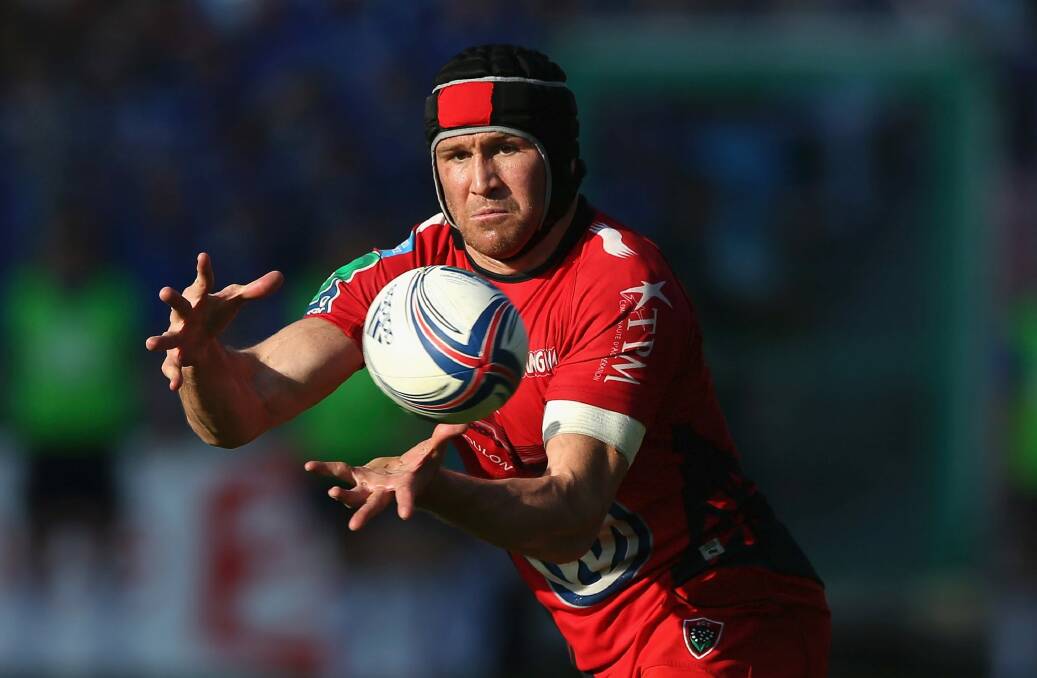 Matt Giteau is back in Wallabies selection contention after an ARU rule change. Photo: Getty Images