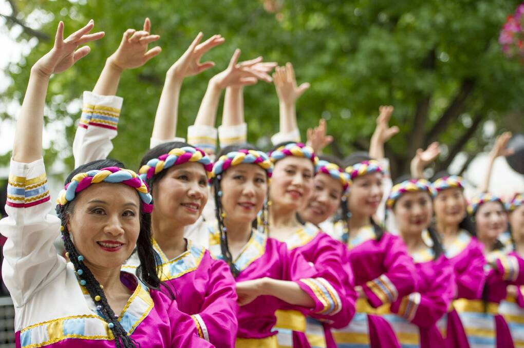 Australian Chinese Culture exchange association dancers perform at the Multicultural Festival on Saturday. Photo: Jay Cronan