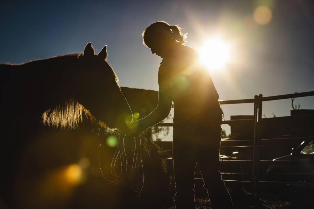Gunning horse trainer Lauren Woodbridge works with Lark, 11 days after she received the brumby as part of the Australian Brumby Challenge. Photo: Sitthixay Ditthavong