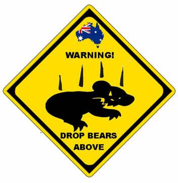 Drop Bear warning | Poster
