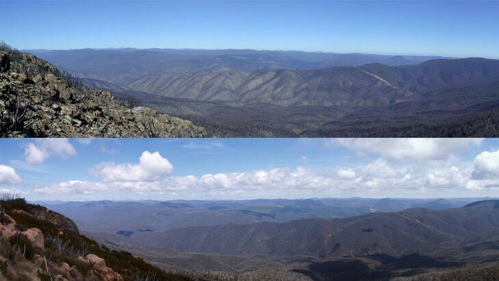 A view from the top of Brindabella National Park, top, after the January 2003 fires, and the same scene in 2012, below. Photo: CSIRO