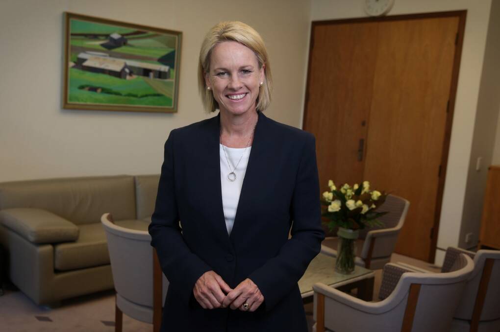 The recently appointed Deputy Leader of the Nationals Senator Fiona Nash, now promoted to a cabinet role. Photo: Andrew Meares