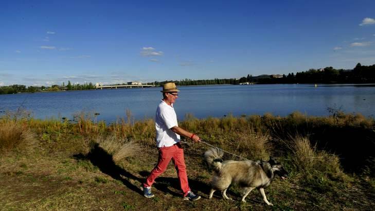 Michael Flanagan of Acton takes his dog for a walk on Monday in the area that will be transformed. Photo: Melissa Adams