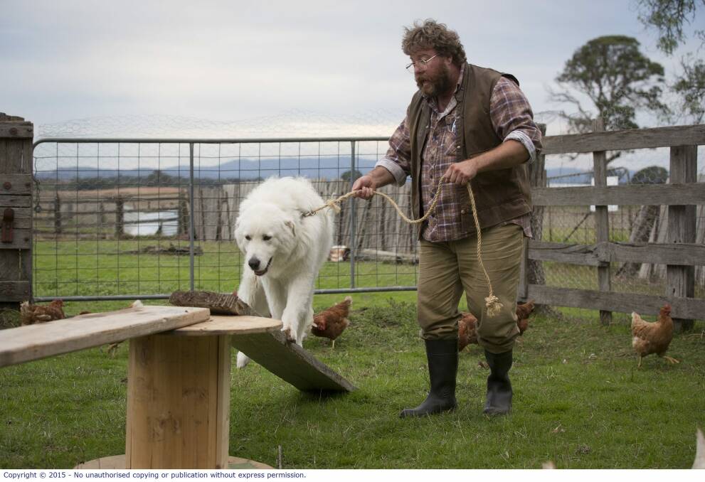 Oddball shows Swampy Marsh (Shane Jacobson) how things are done in the film Oddball. Photo: Greg Noakes