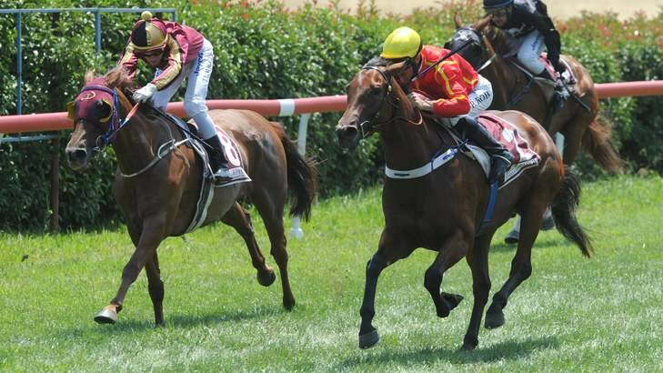 Peter Robl aboard Two Piece, right, grabs a win a Queanbeyan on Tuesday. Photo: Graham Tidy