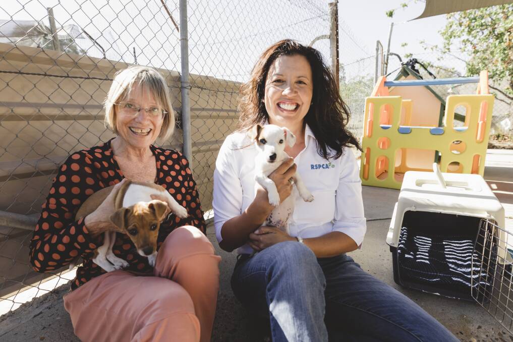 ACT Greens transport spokesperson Caroline Le Couteur, and RSPCA ACT CEO Tammy Ven Dange are calling for pets to be allowed on Canberra's public buses. Photo: Jamila Toderas