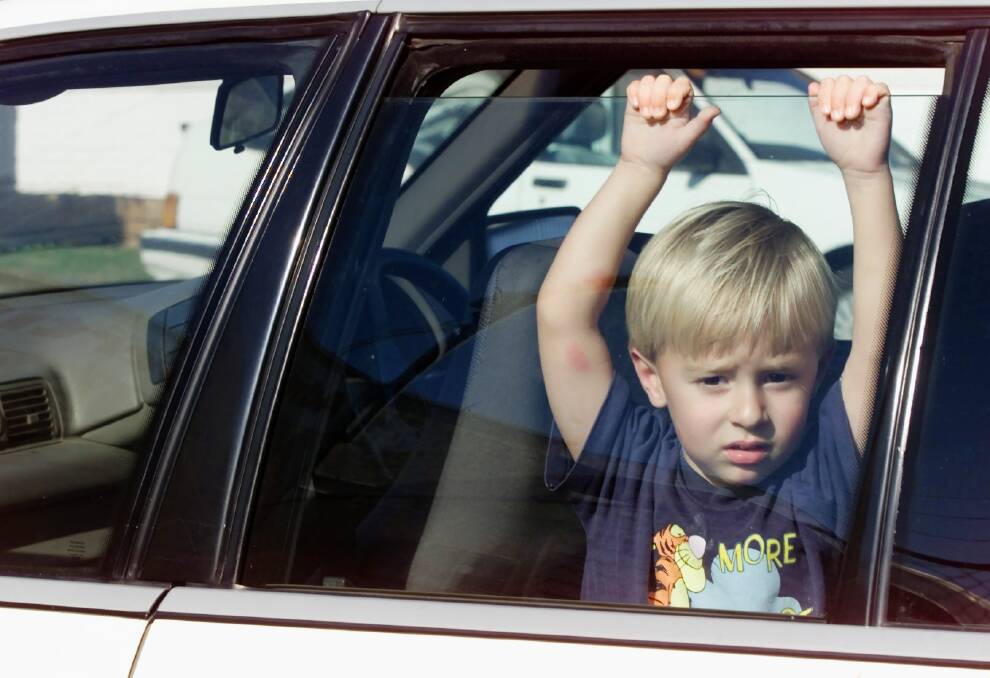 Queensland's peak motoring body RACQ has revealed it receives about five calls a day about a child or animal locked in a vehicle.  Photo: File image