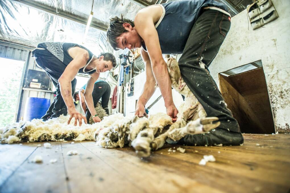 The intensive workshops
 run by Australian Wool Innovation. Photo: Karleen Minney