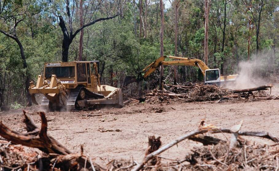 A Queensland parliamentary committee has recommended land clearing laws be passed. Photo: Wilderness Society