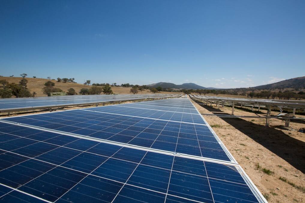 Williamsdale solar farm in the ACT. Photo: Lannon Harley/ACT government