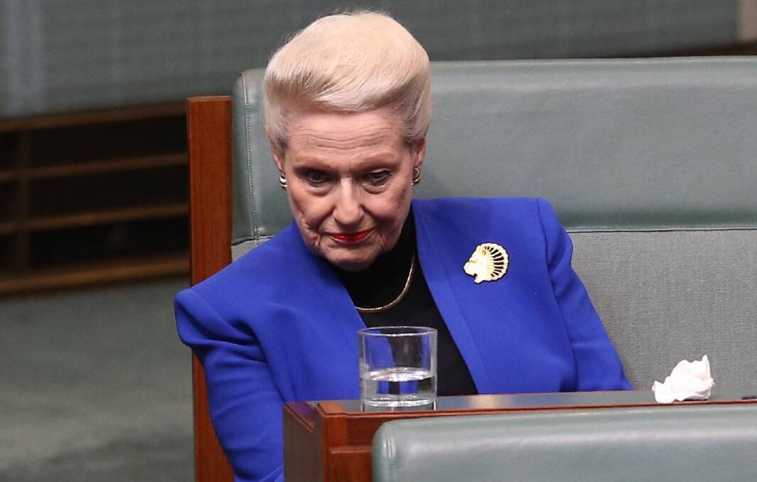 Review into parliamentary entitlements triggered following the Bronwyn Bishop helicopter scandal. Photo: Andrew Meares