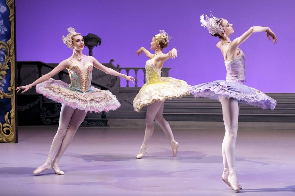 A scene from Storytime Ballet: The Sleeping Beauty. Photo: Daniel Pockett