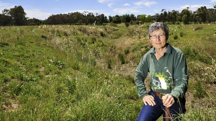 Historian and writer Jenny Horsfield stands near the old creek course behind the Tuggeranong Homestead. Photo: Melissa Adams
