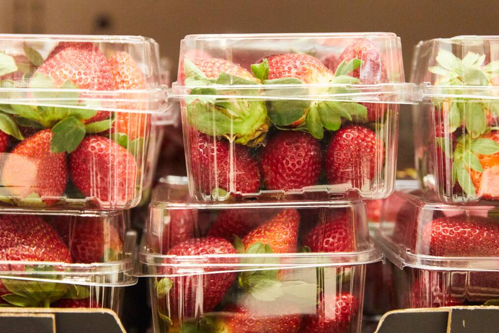 Premier Annastacia Palaszczuk has called for anyone with information about the strawberry tampering to call authorities. Photo: AAP