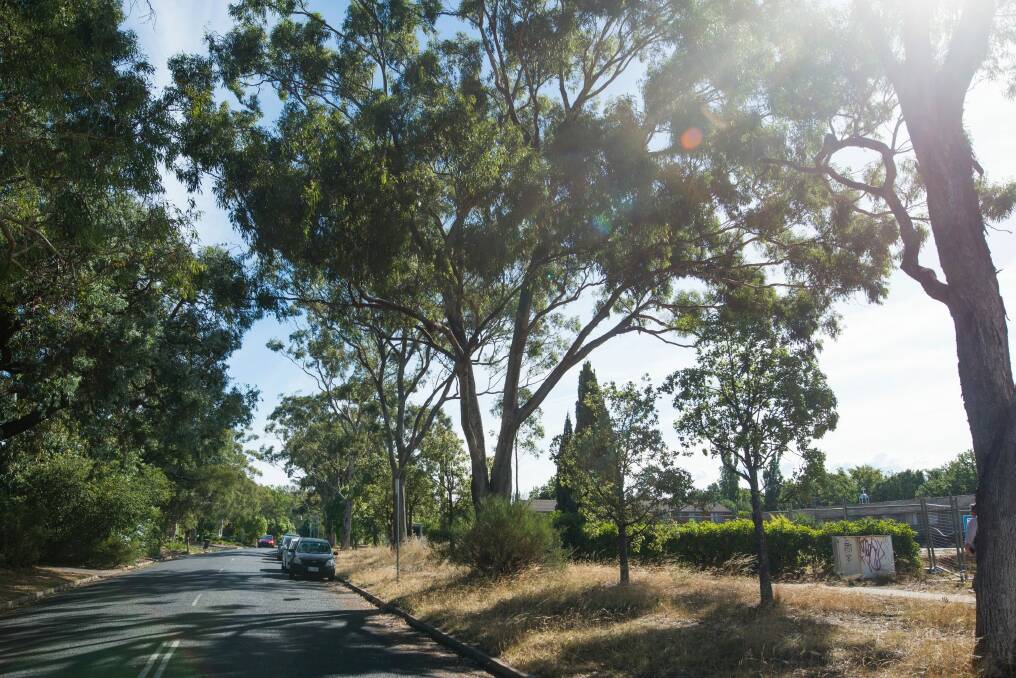 The site of a proposed multi story hotel on Dominion Circuit in Forrest. Photo: Rohan Thomson
