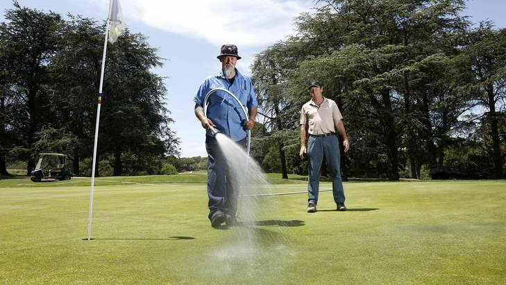 Royal Canberra Golf Club groundsman Rob Curtin hand waters the 12th green last year. Photo: Jeffrey Chan