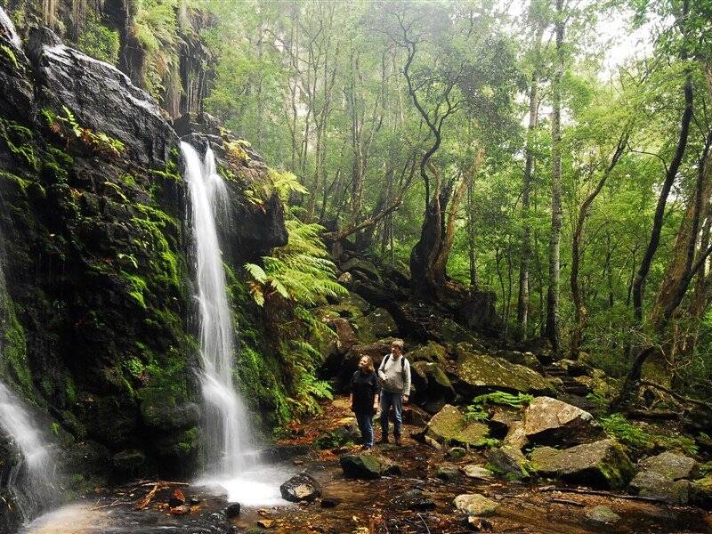 Fairy Bower Falls. Photo: Dee Kramer Photography and Destination NSW