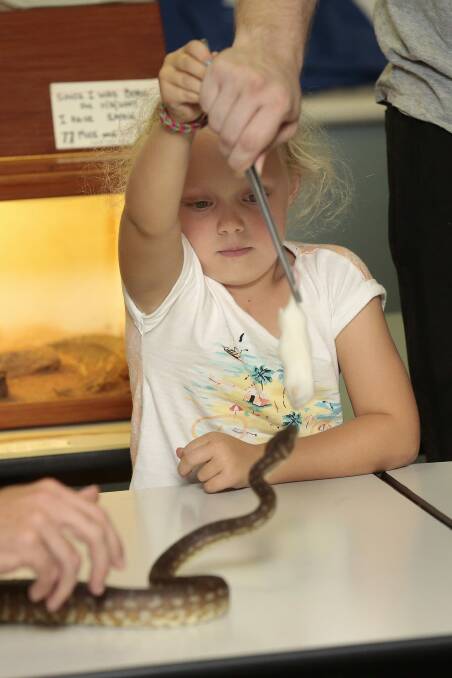 Scarlett Dyer, 5, of Spence feeds a centralian python a dead mouse at the Snakes Alive exhibition at the Australian National Botanic Gardens. Photo: Jeffrey Chan
