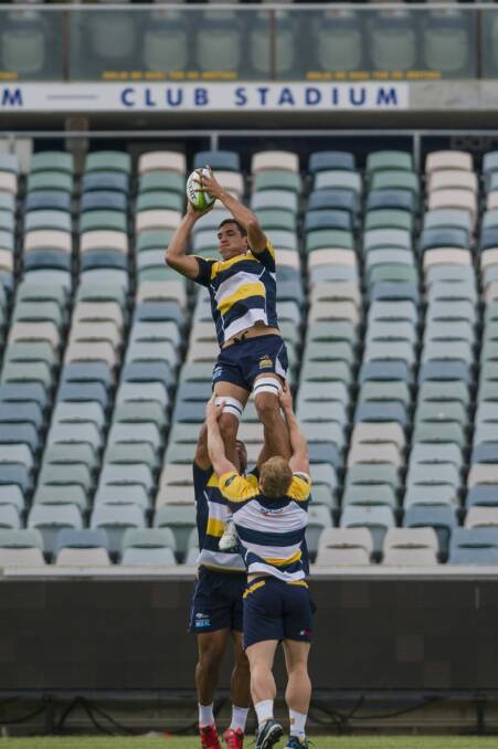 Rory Arnold works the line-out. Photo: Jamila Toderas