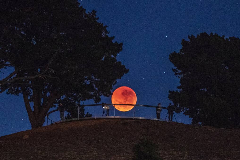 The blood moon seen from the National Arboretum, Canberra, on Saturday, July 28, 2018. Photo: Ari Rex