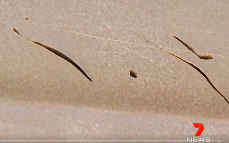 Teeth marks from the tiger shark which knocked a man out of his kayak on the Sunshine Coast. Photo: Seven News Sunshine Coast - Twitter