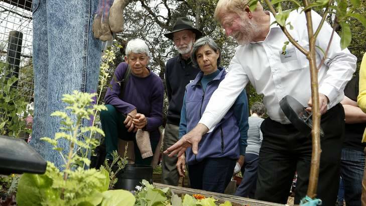 NEW FRIENDS: Walter Jehne (right) passes on his gardening tips to (from left) Linda Whitefeather, Keith Colls and Kathy Stone. Photo: Jeffrey Chan