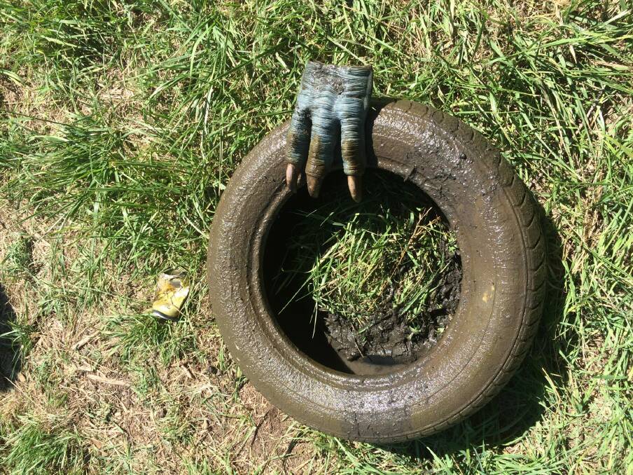 Monster claw found clinging onto a tyre in the Cooma Creek. Photo: Antia Brademann