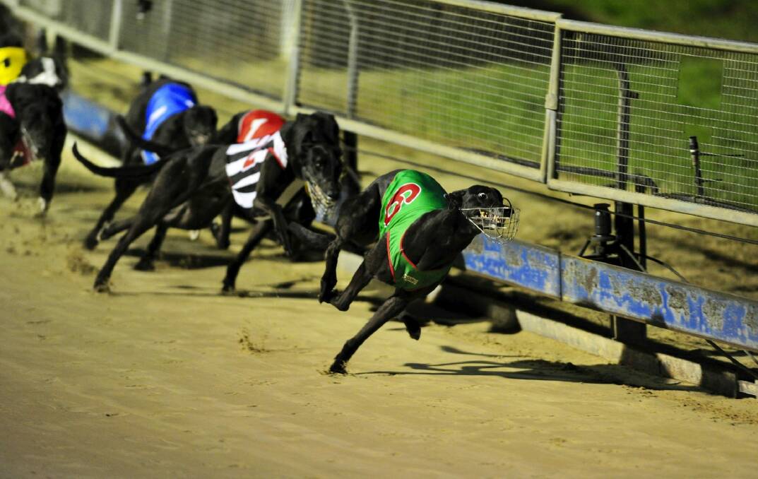 The Canberra Greyhound Racing track.