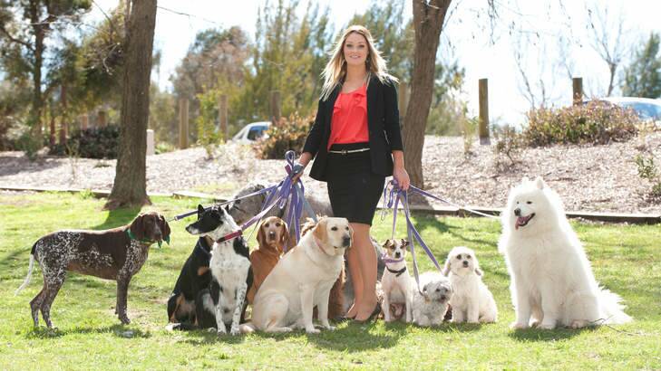 FURRY GOOD: Dogs4Fun owner Rhiannon Beach is a finalist in the ACT Telstra Business Woman of the Year Awards. Photo: Supplied
