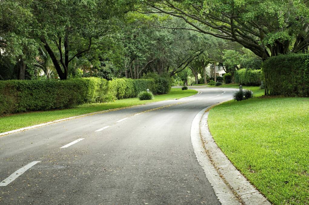 A beautifully landscaped road curves around the corner in Naples, Florida, clean and well-maintained lined with trees and hedges. But only take on a hedge if you know you will continue to maintain it. Photo: iStock