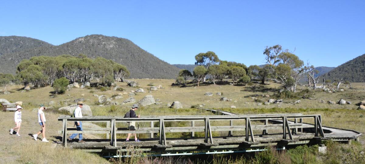 Crossing the Bogong Creek on the track to Yankee Hat. The ‘hat’ is the hill at centre left. Photo: Tim the Yowie Man
